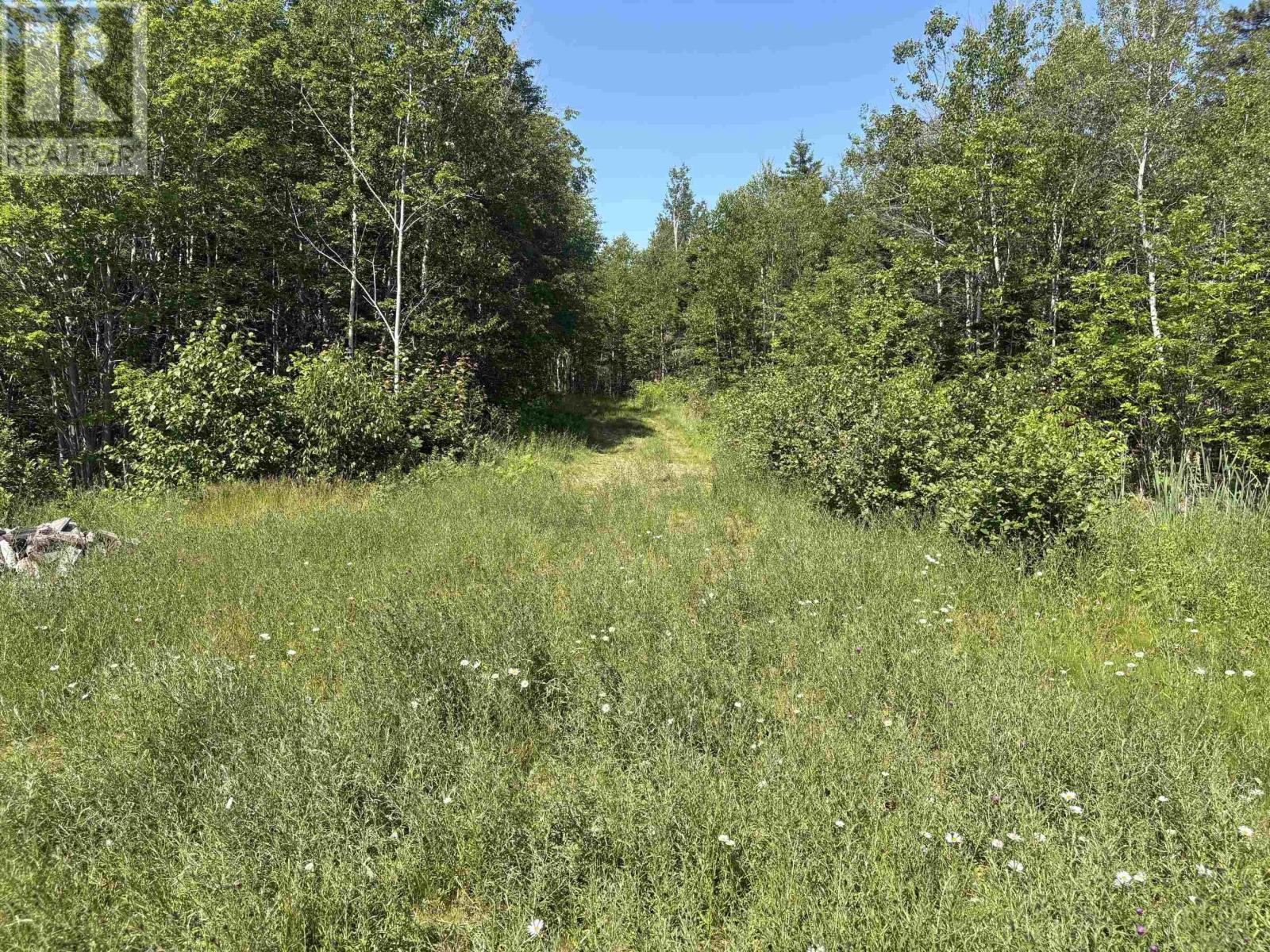 Lot 9 Longley Mountain Road Property Photo 14