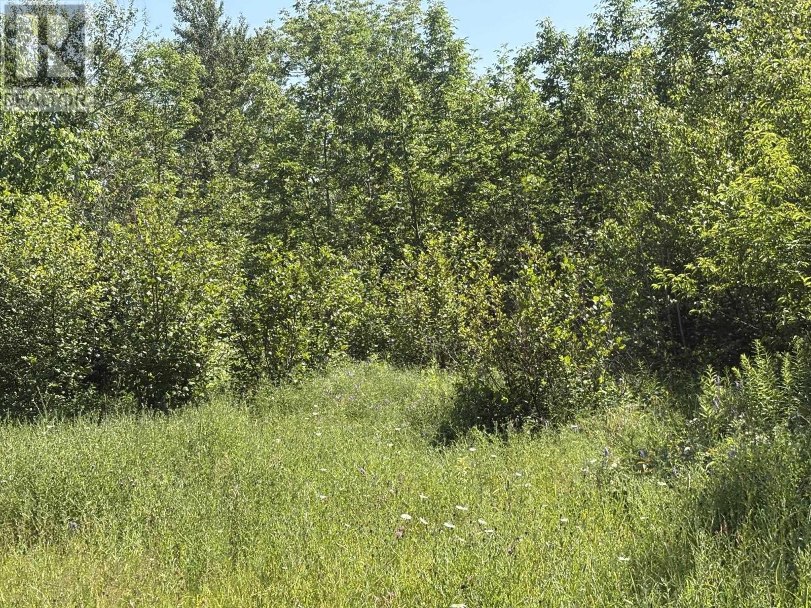 Lot 9 Longley Mountain Road Property Photo 15