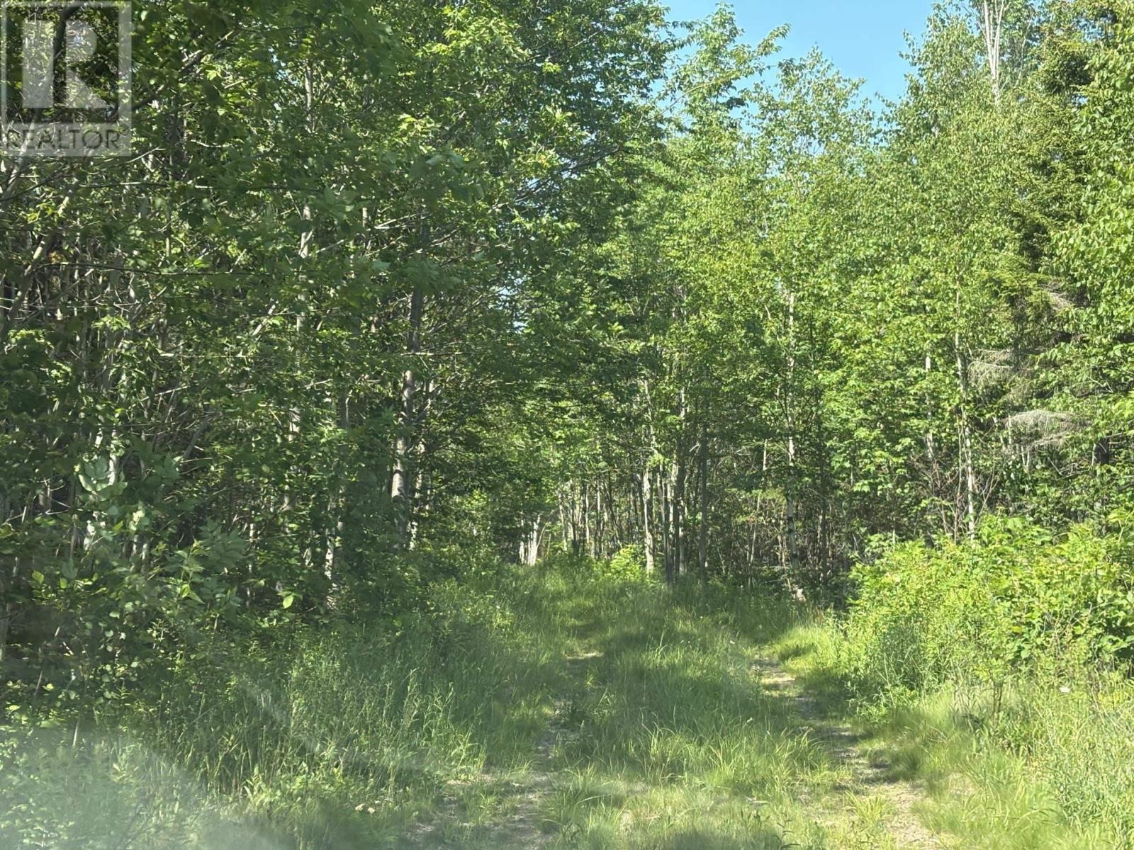 Lot 9 Longley Mountain Road Property Photo 17