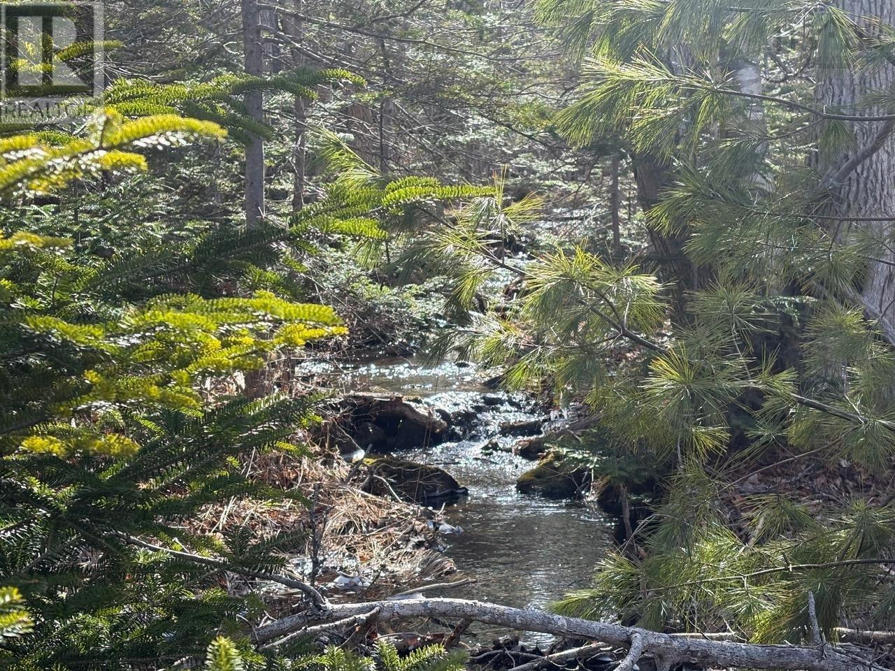 Lot 9 Longley Mountain Road Property Photo 21