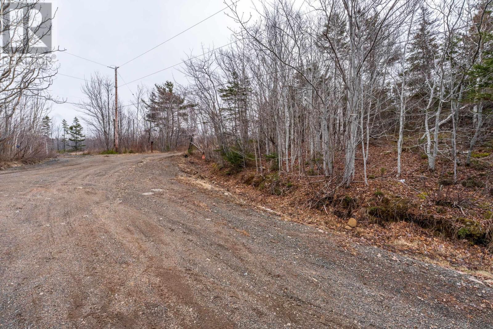 Lot 9 Longley Mountain Road Property Photo 33