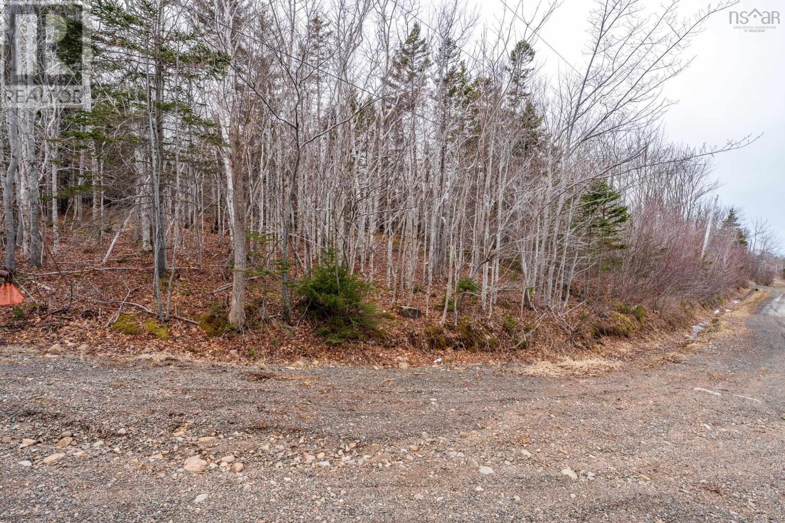 Lot 9 Longley Mountain Road Property Photo 35
