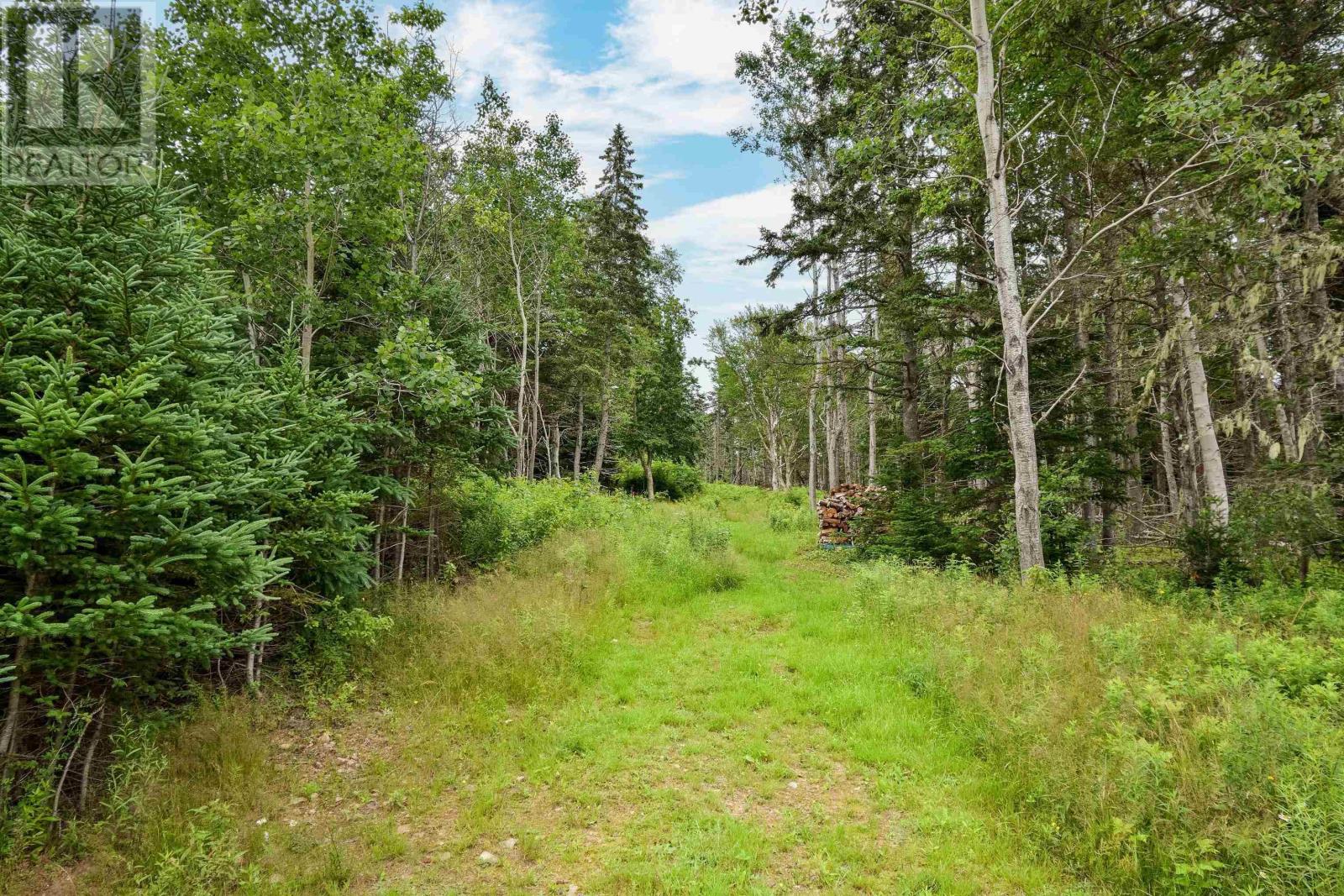 785 105 Highway Property Photo 23