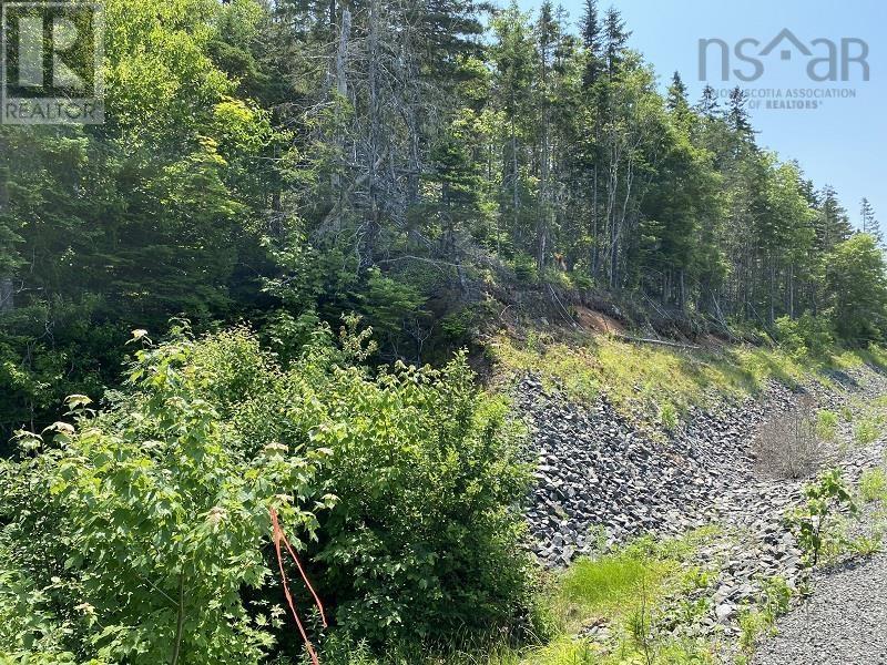 0 Cabot Trail Property Photo 1