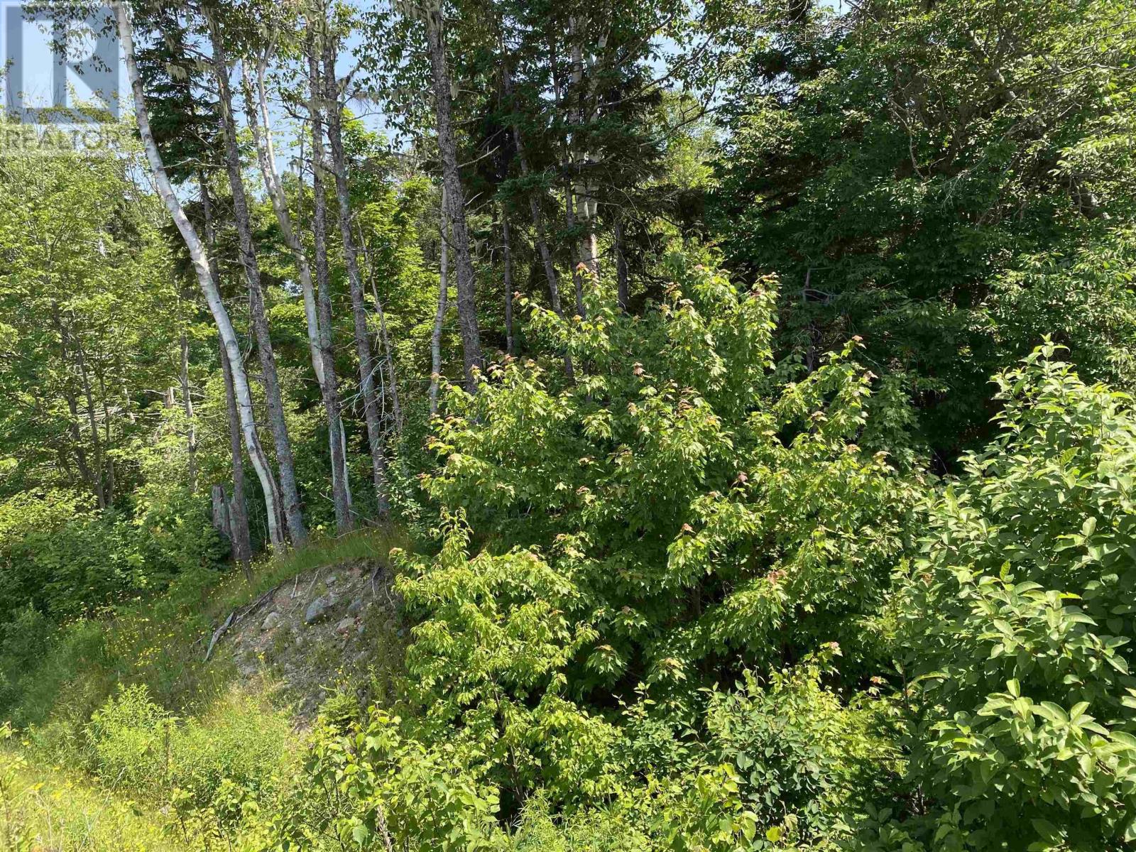 0 Cabot Trail Property Photo 2