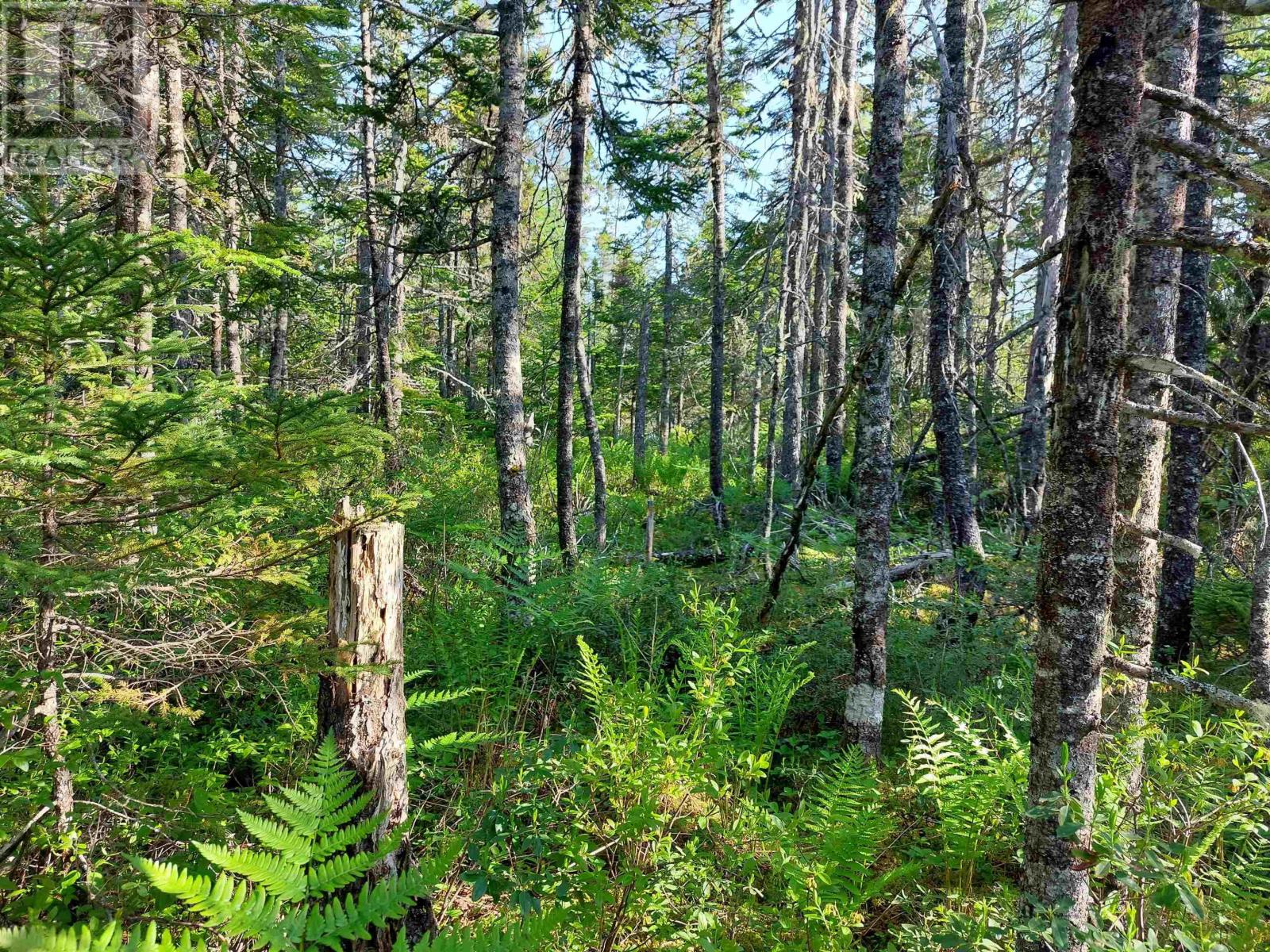 Lot B1 Katja Rose Dr Property Photo 9
