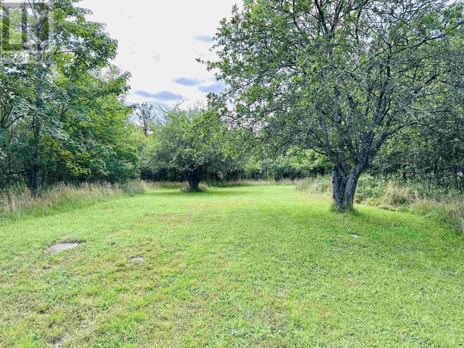 385 Brighton Road Property Photo 35