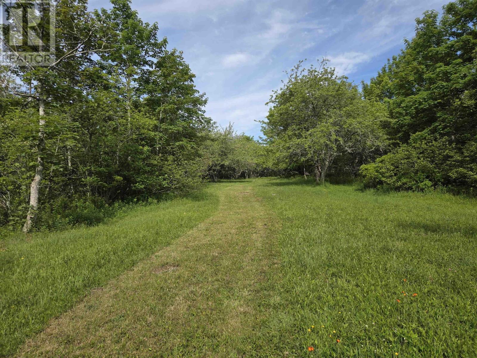 385 Brighton Road Property Photo 44