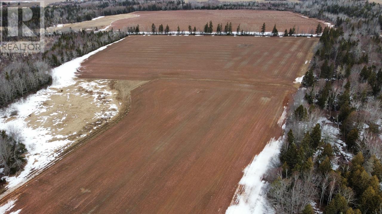 141 Trout River Road Property Photo 5
