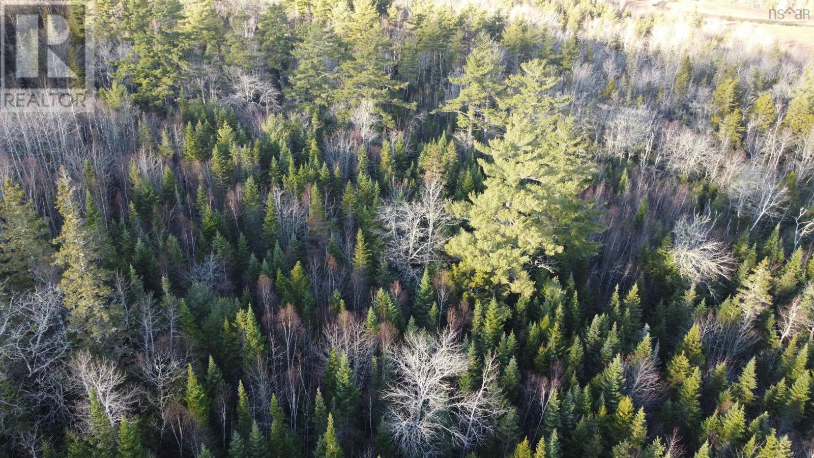 Lot 3 Highway 10 Property Photo 2