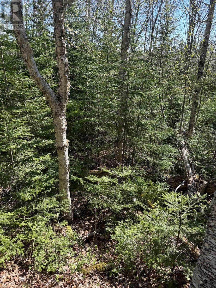 Lot 3 Highway 10 Property Photo 5