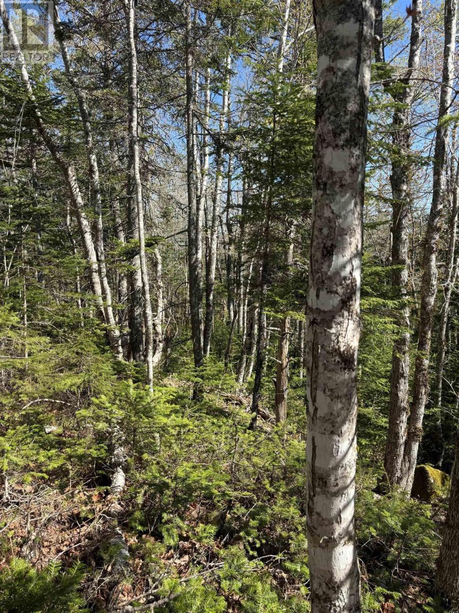 Lot 3 Highway 10 Property Photo 6