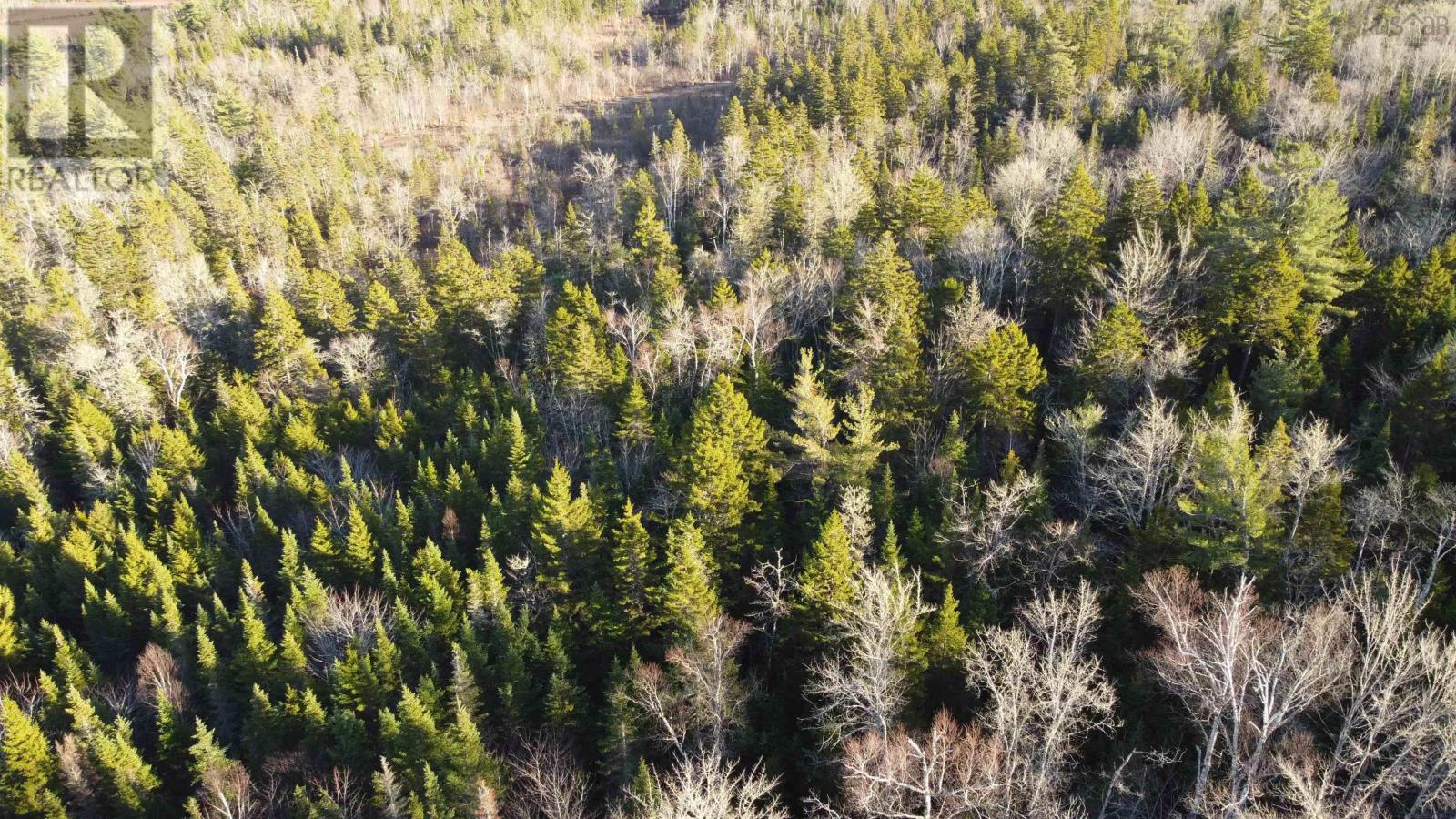 Lot 3 Highway 10 Property Photo 8