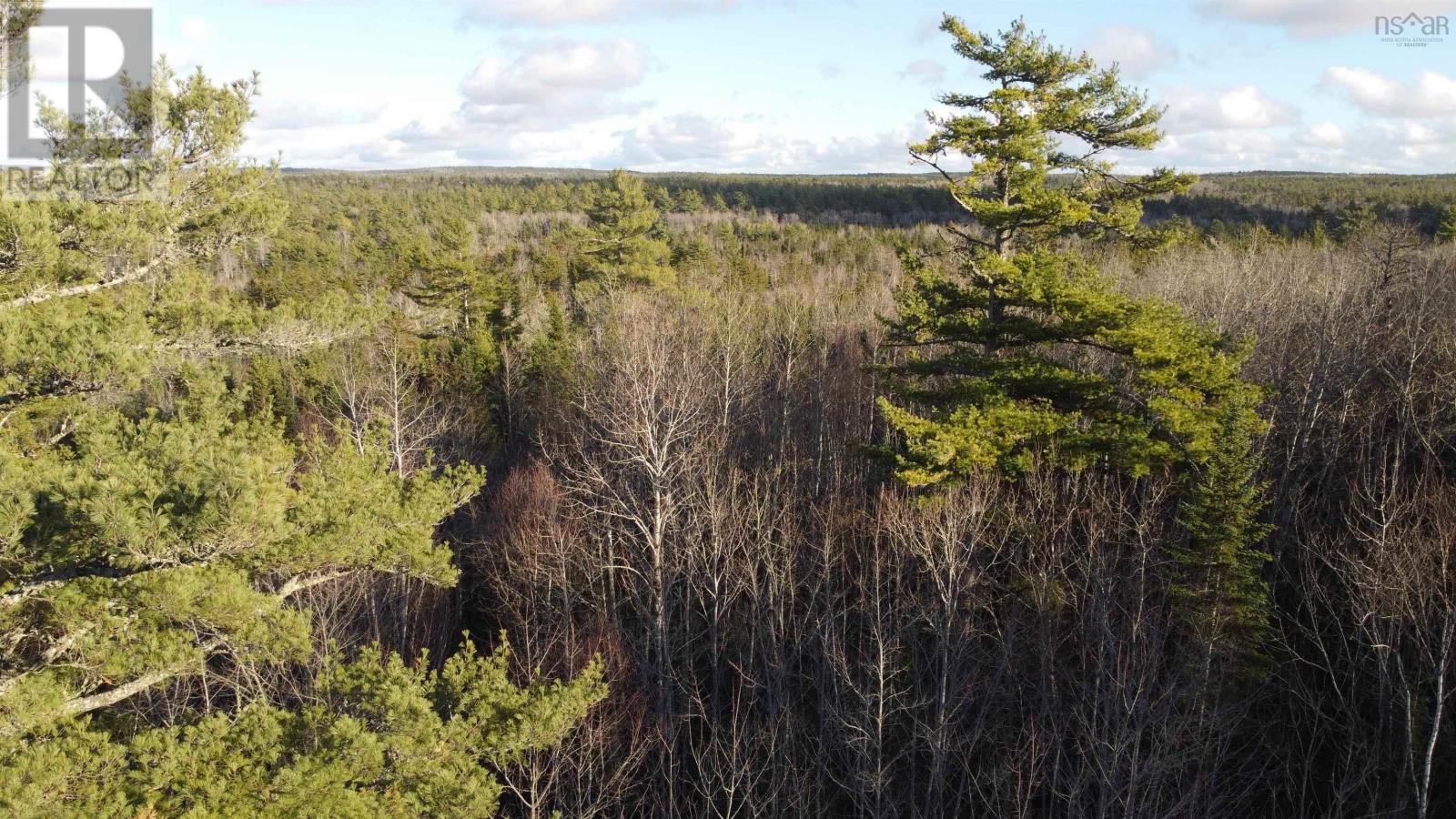Lot 3 Highway 10 Property Photo 10