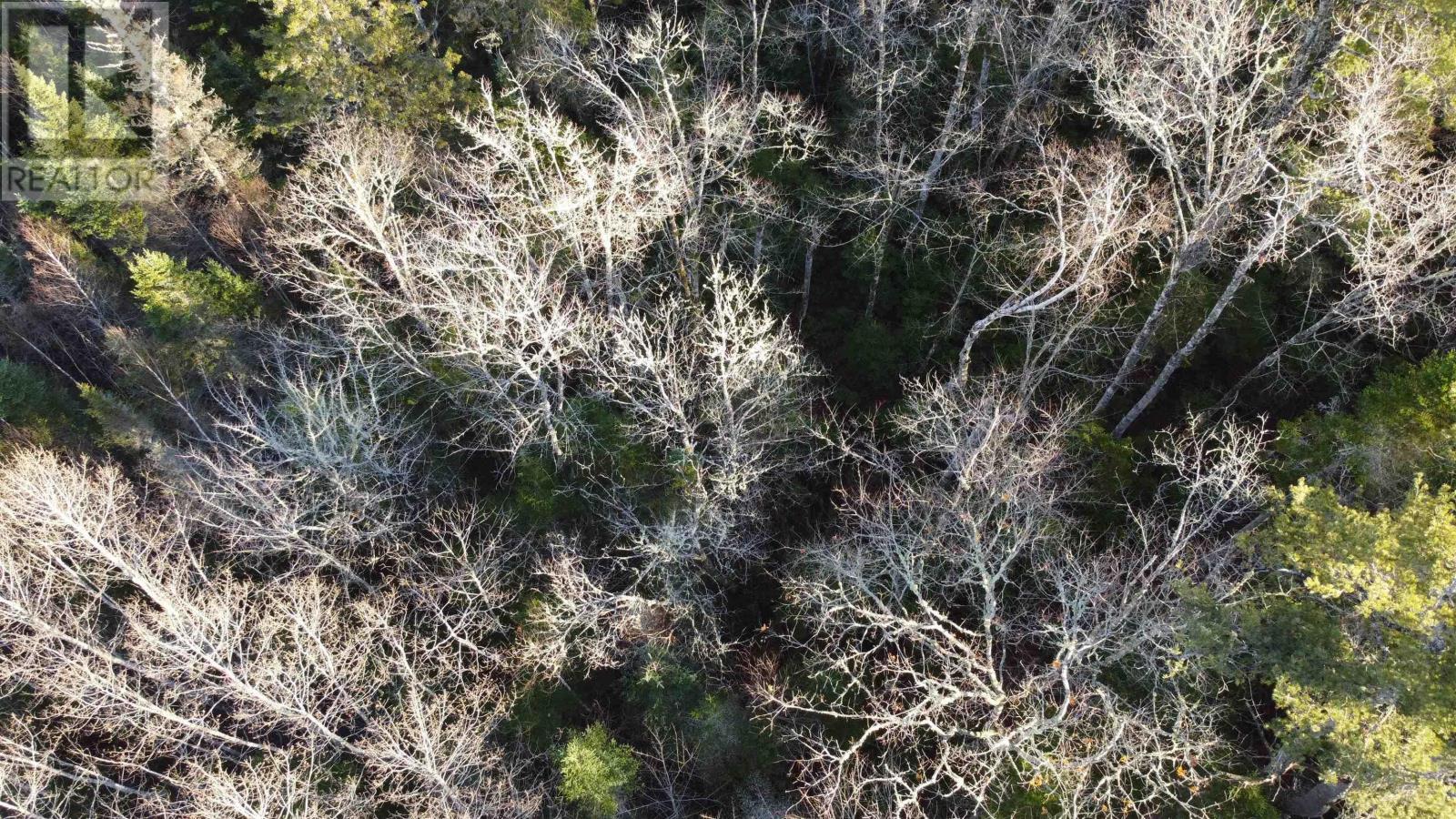 Lot 3 Highway 10 Property Photo 11