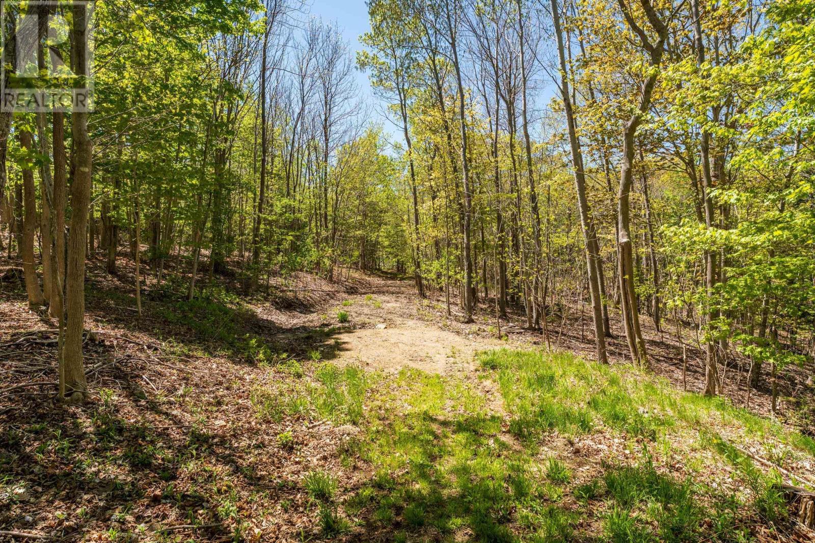 550 River Road Property Photo 13