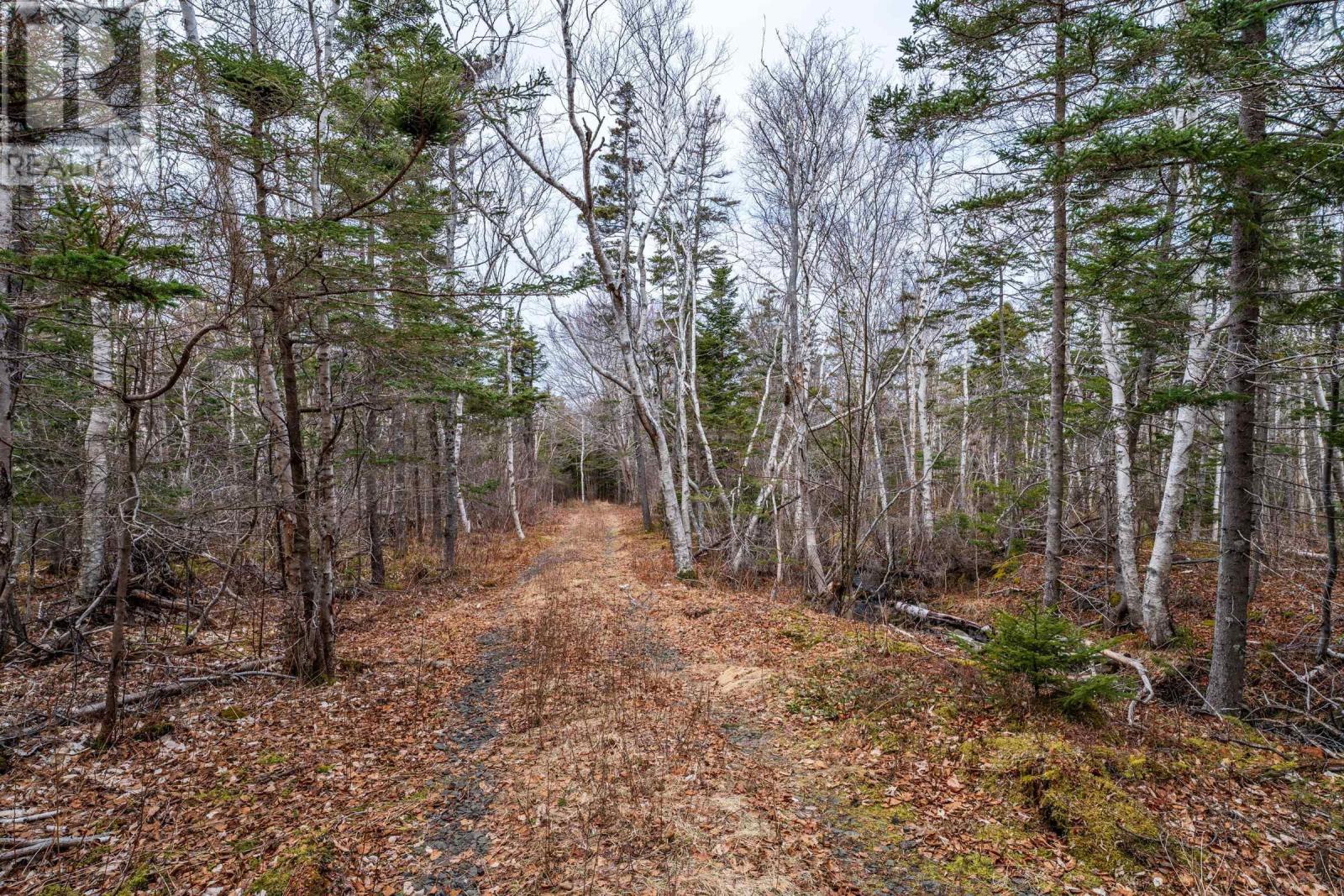 Lot Shore Road Property Photo 21