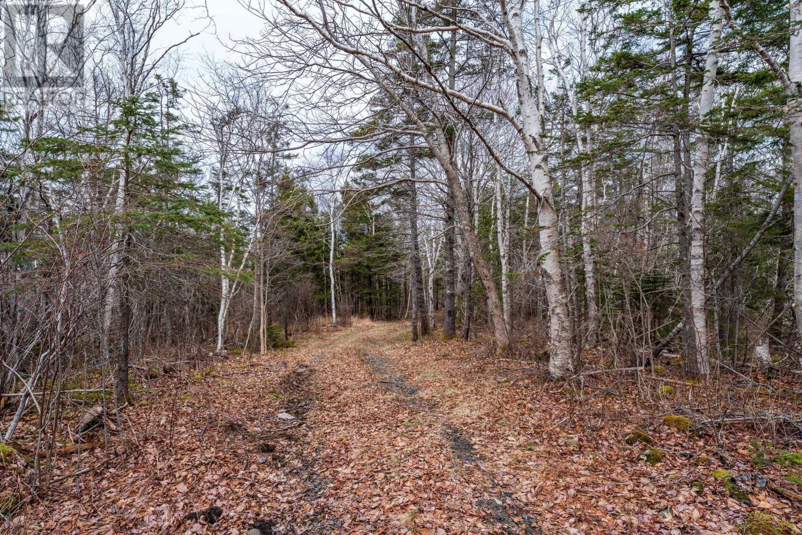 Lot Shore Road Property Photo 22