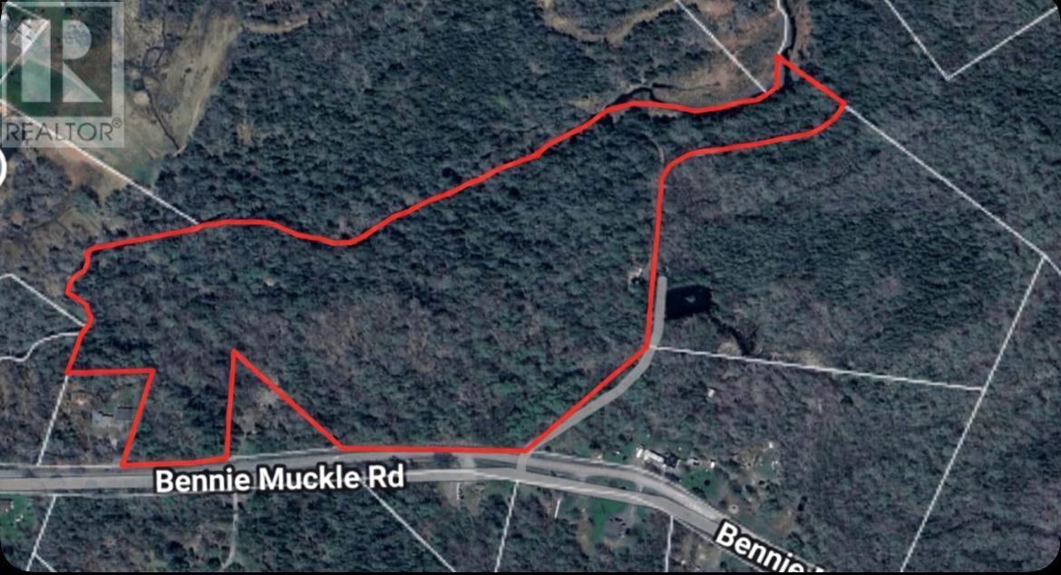 115 Bennie Muckle Road Property Photo 4