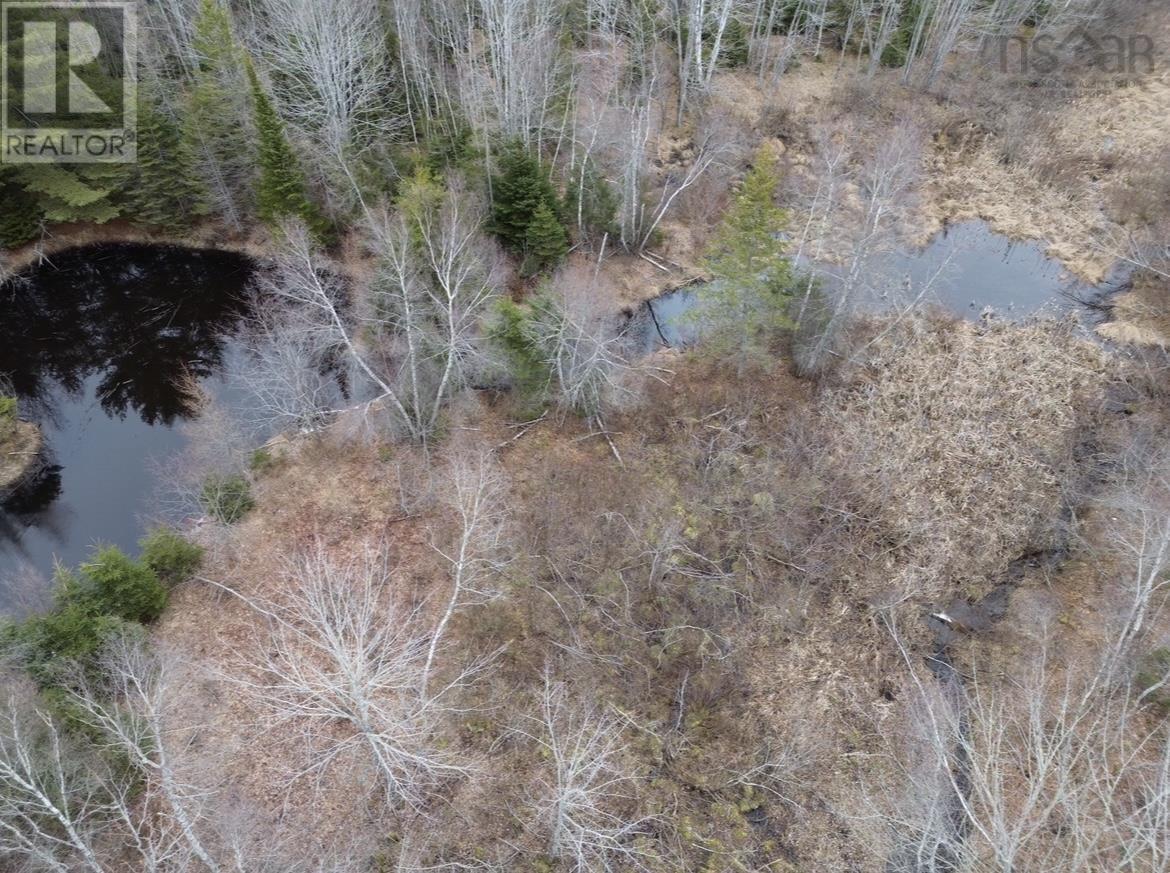 115 Bennie Muckle Road Property Photo 12