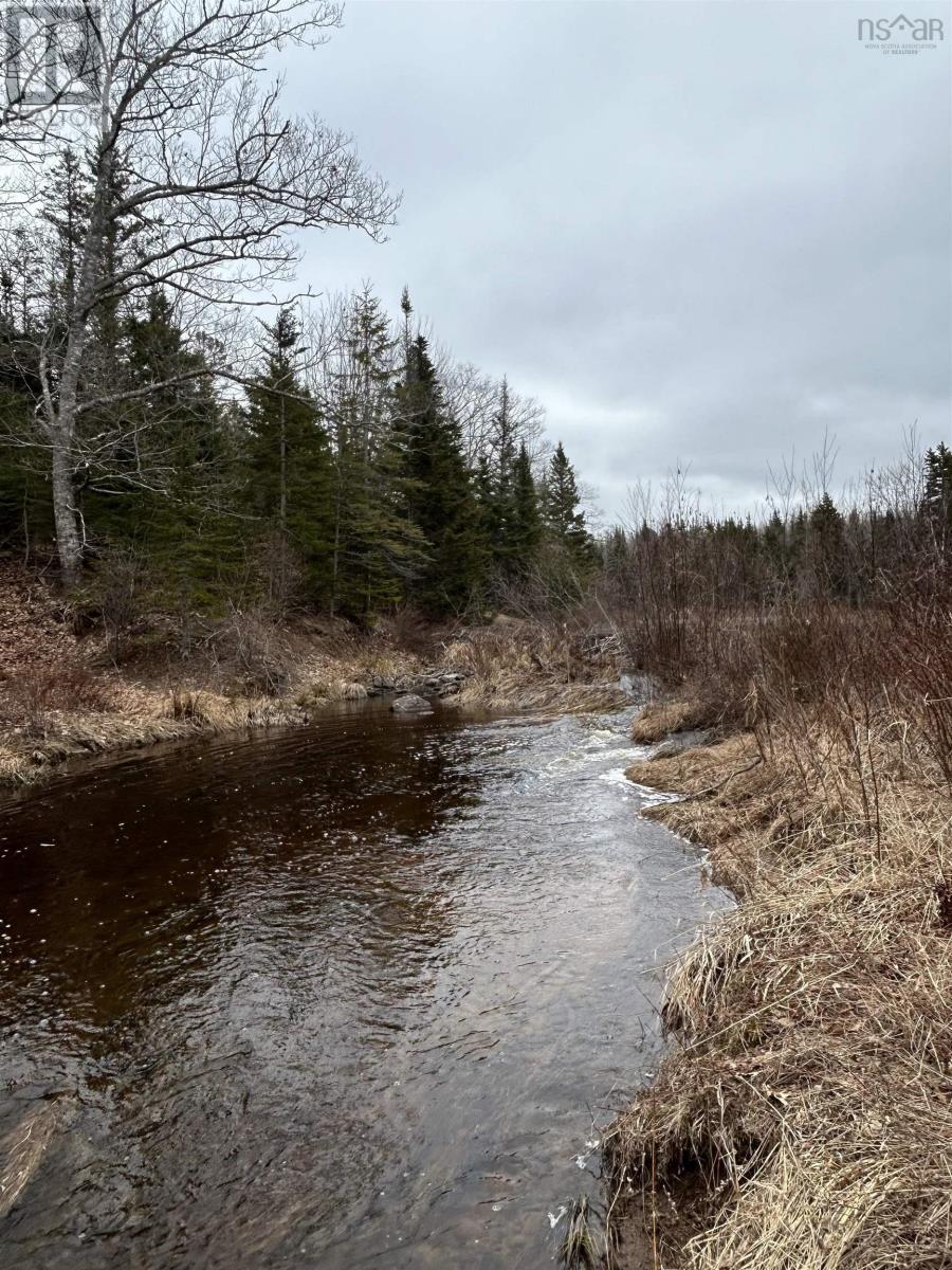 115 Bennie Muckle Road Property Photo 31