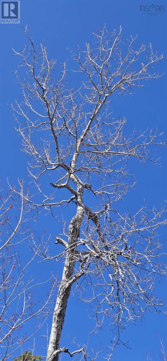153 Taylors Road Property Photo 2