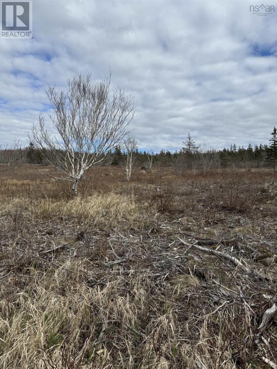 Lot 8b Shore Road West Property Photo 5
