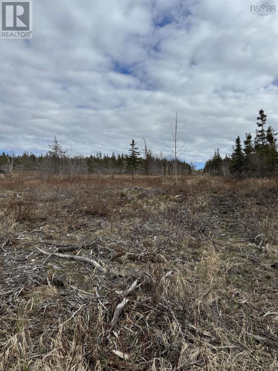Lot 8b Shore Road West Property Photo 19
