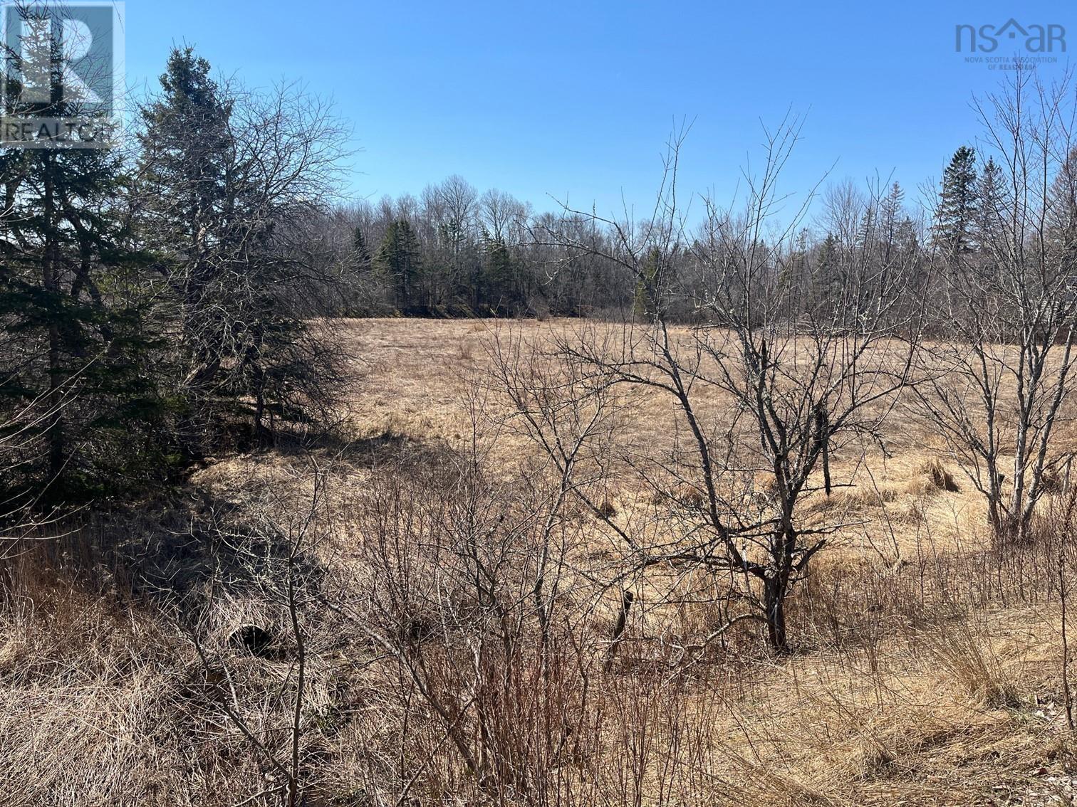Lot A Highway 289 Property Photo 1