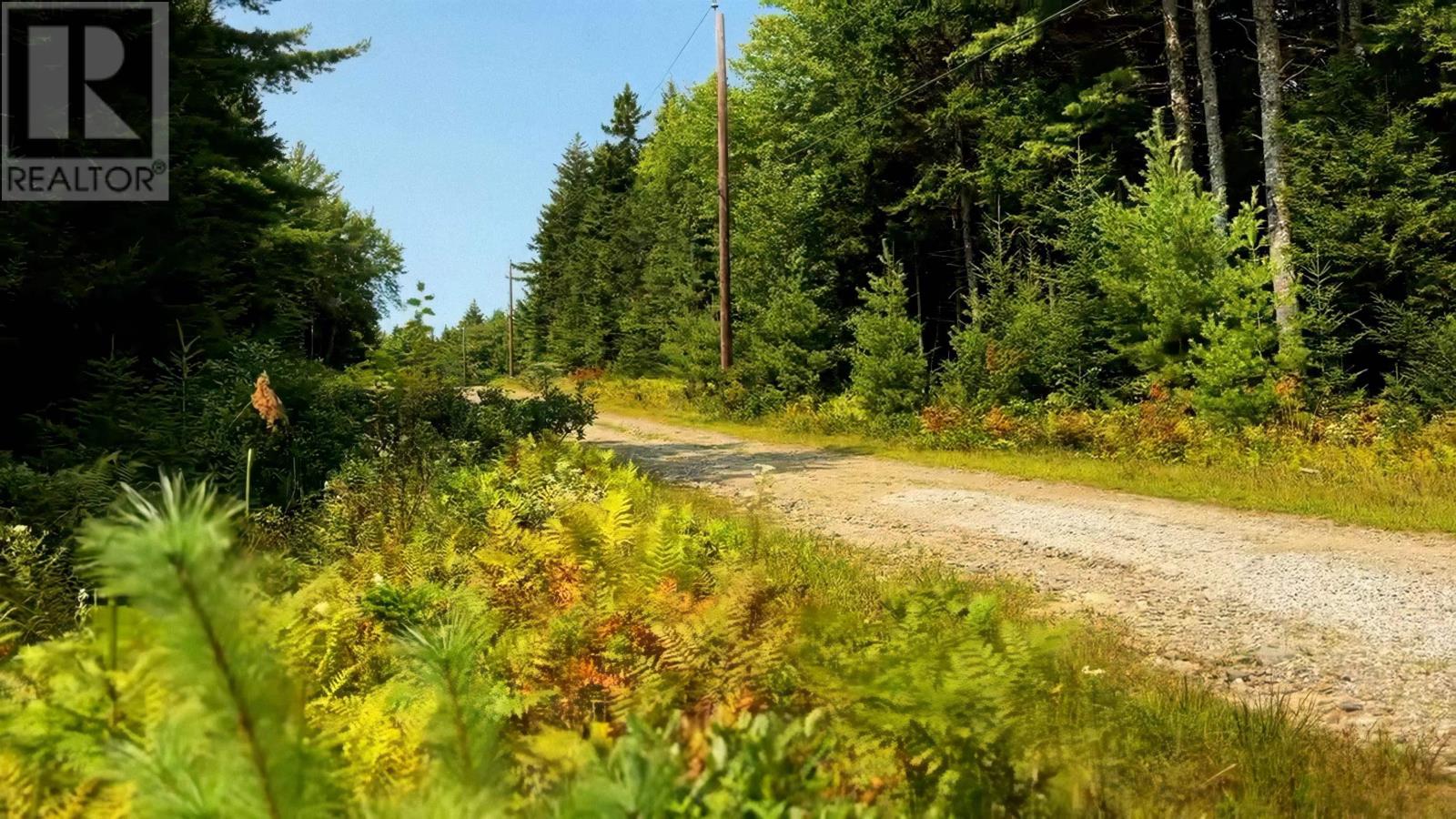 Lot 3 Robert E Road Property Photo 6