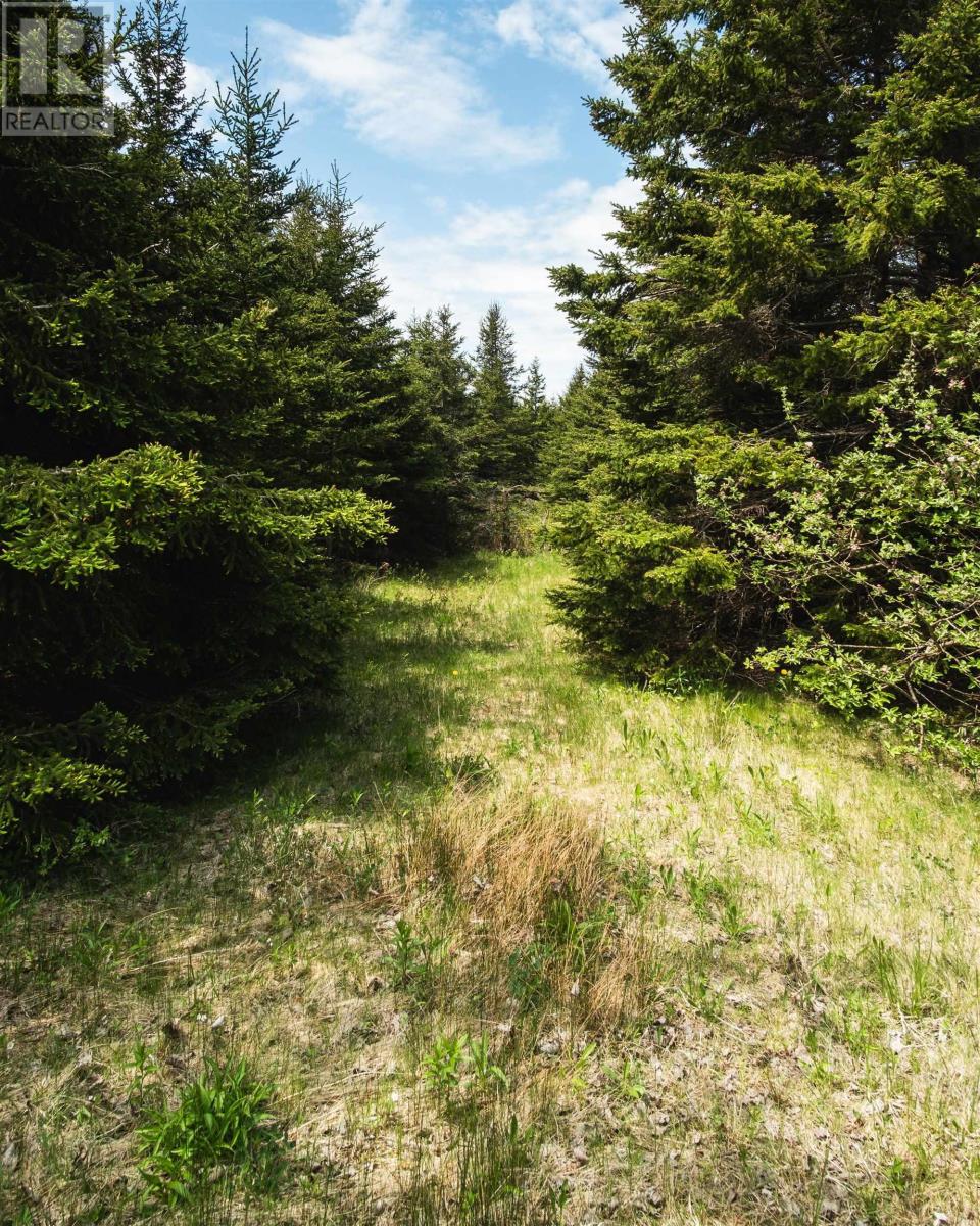 Highway 19 Highway Property Photo 16