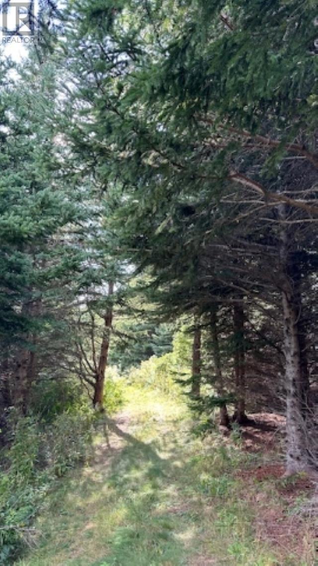 Highway 19 Highway Property Photo 18