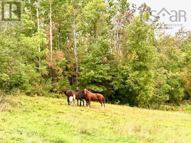 1143 Upper River John Road Property Photo 17
