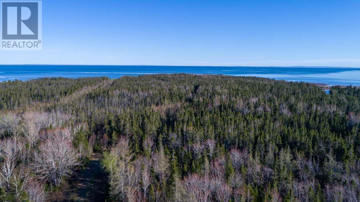 Acreage Shore Road Property Photo 3