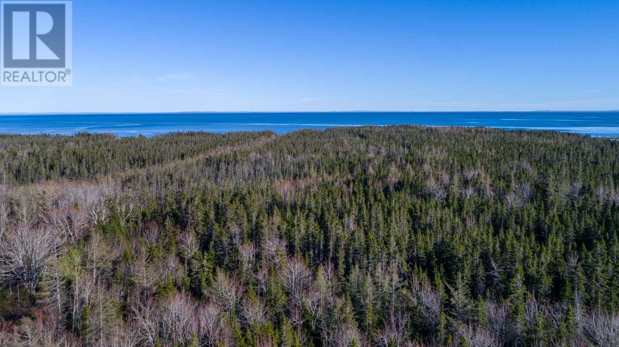 Acreage Shore Road Property Photo 4