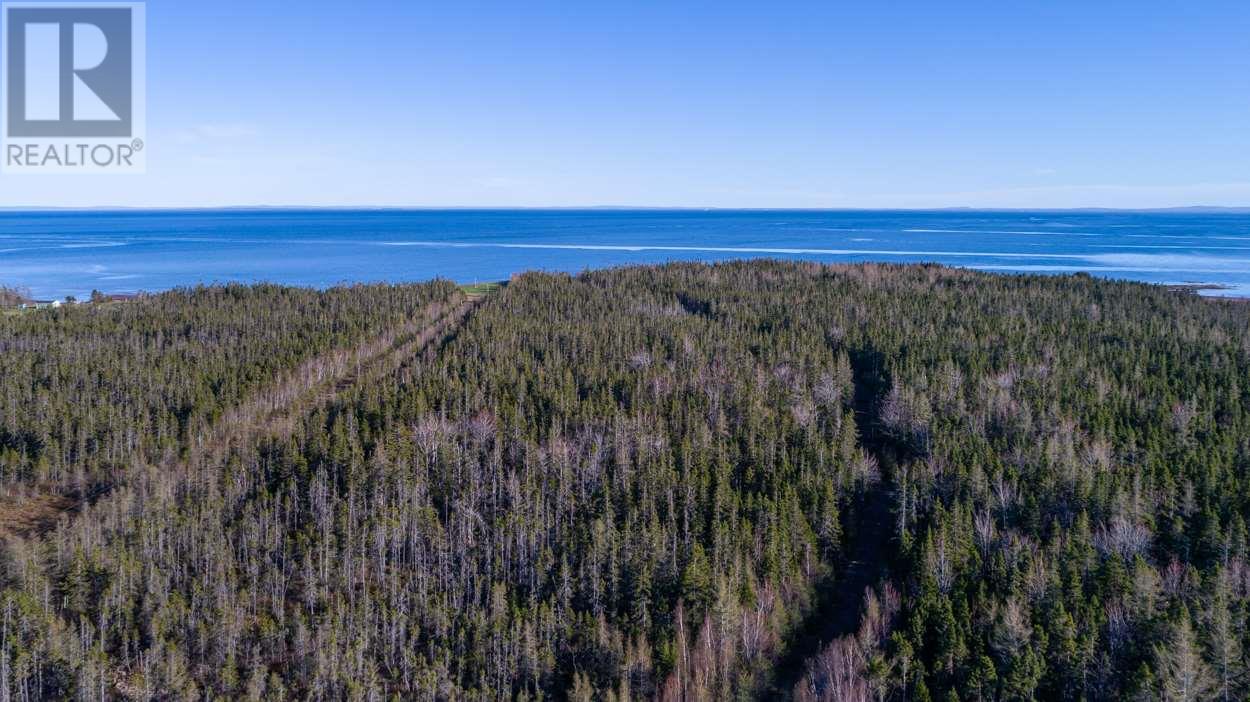 Acreage Shore Road Property Photo 5