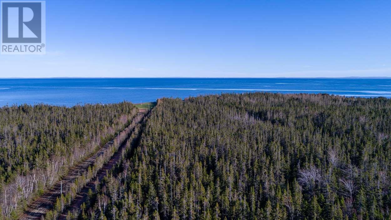 Acreage Shore Road Property Photo 6