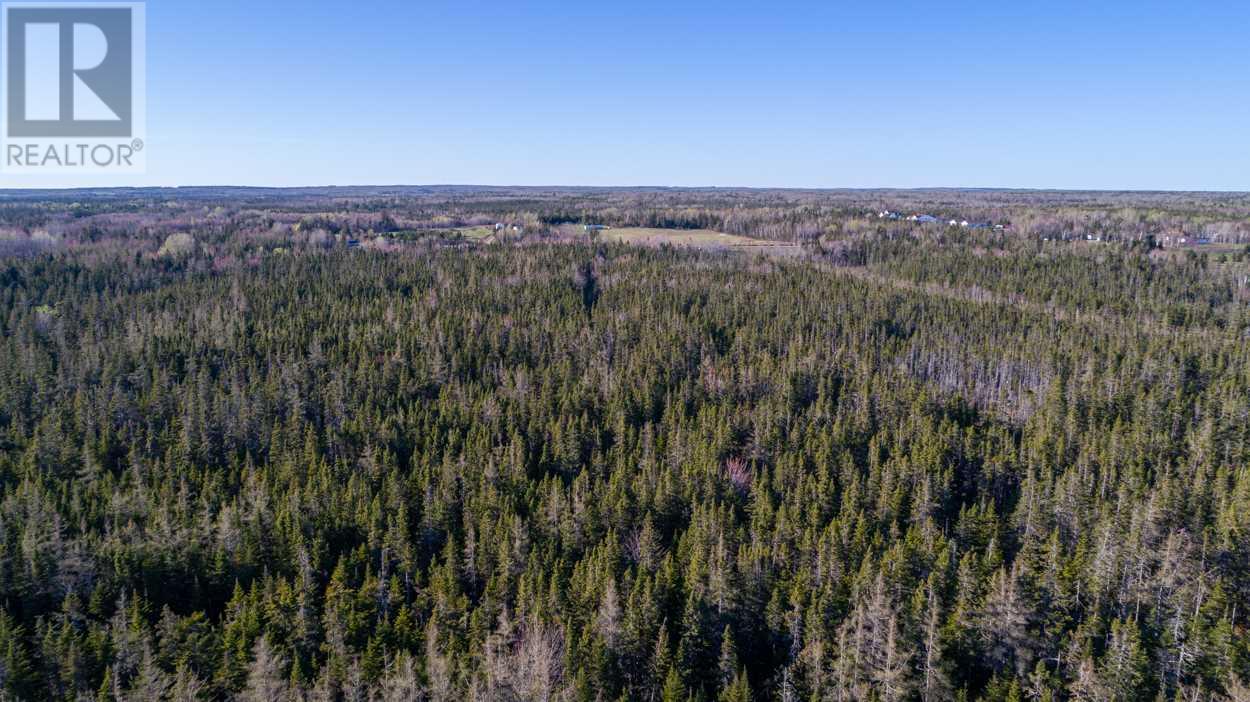 Acreage Shore Road Property Photo 13