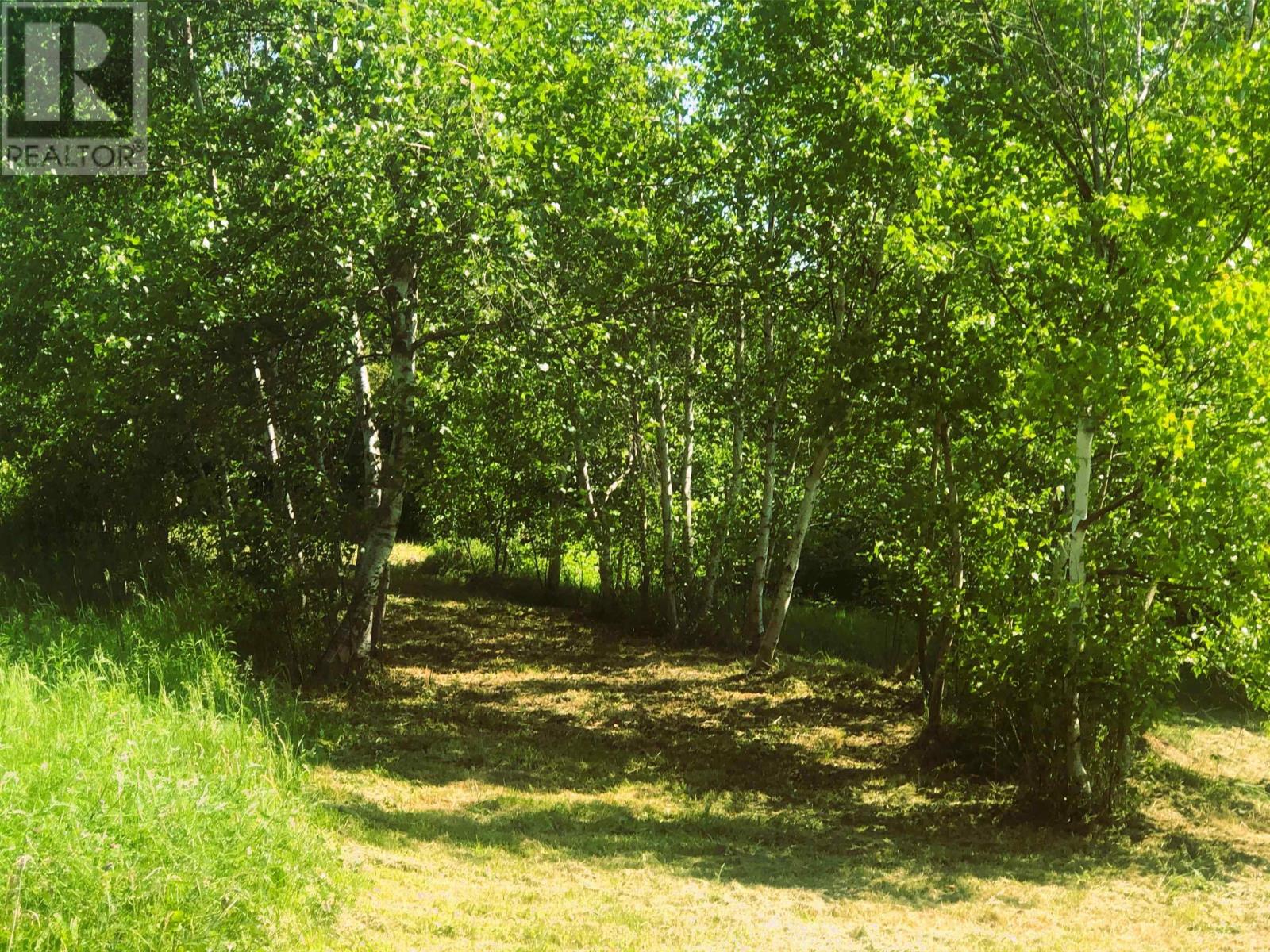 392 Island Road Property Photo 12