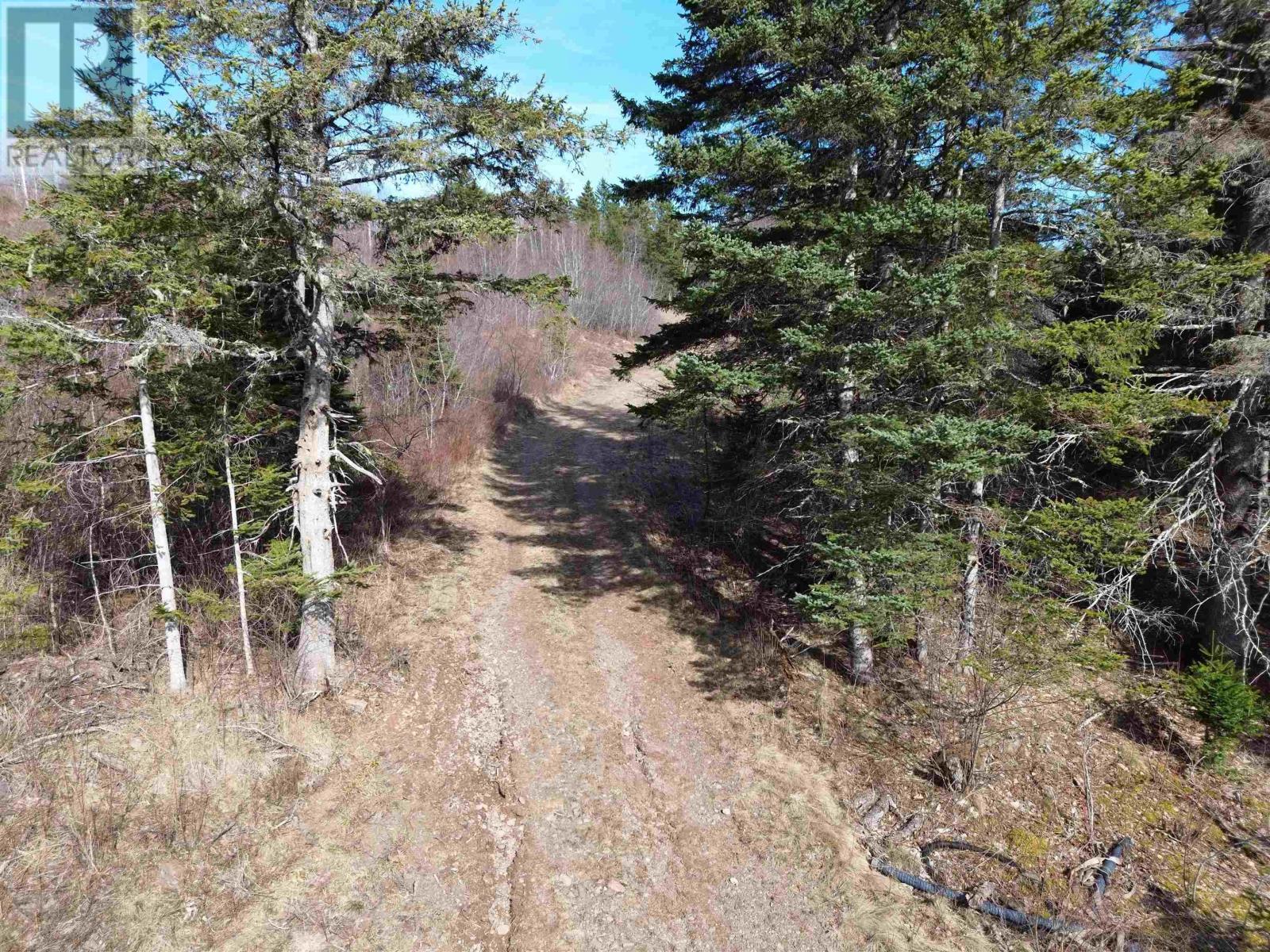 10036 Highway 2 Property Photo 3