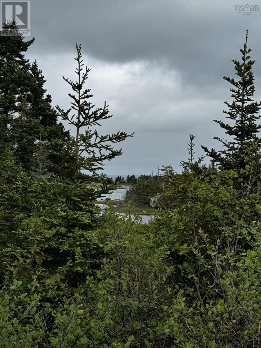 0 Tor Bay Road Property Photo 1