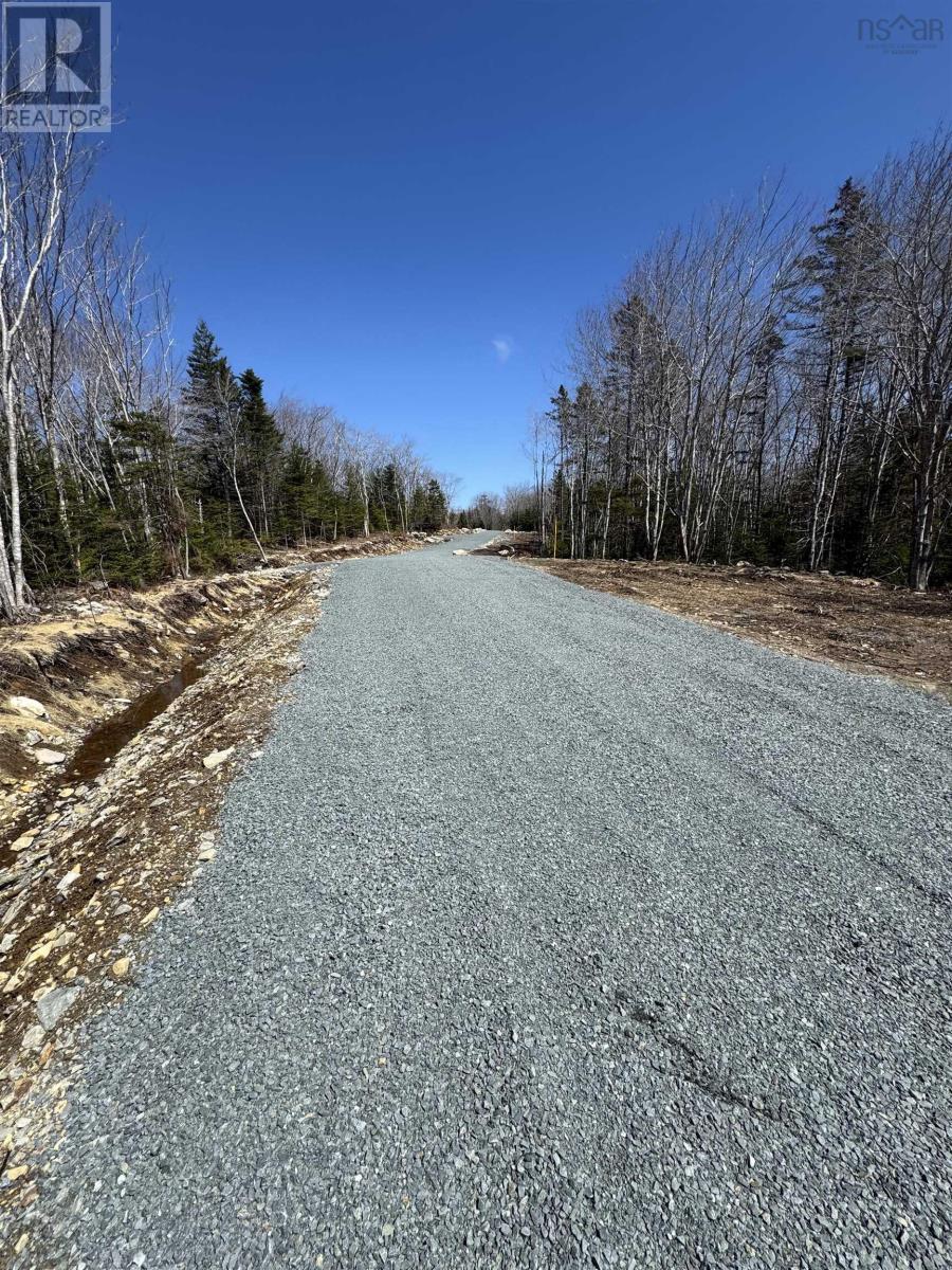 Lot 3 Highway 3, Summerville Heights Property Photo 5
