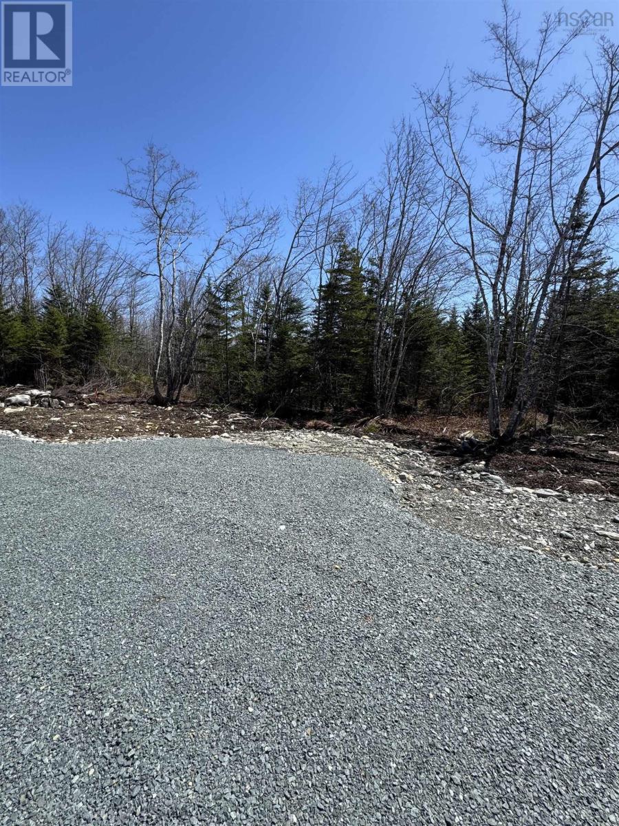 Lot 3 Highway 3, Summerville Heights Property Photo 10