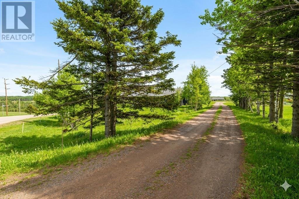 4299 Route 225 Property Photo 44
