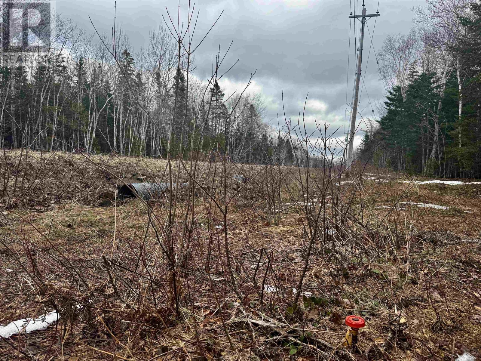 Basin Rd. Property Photo 3