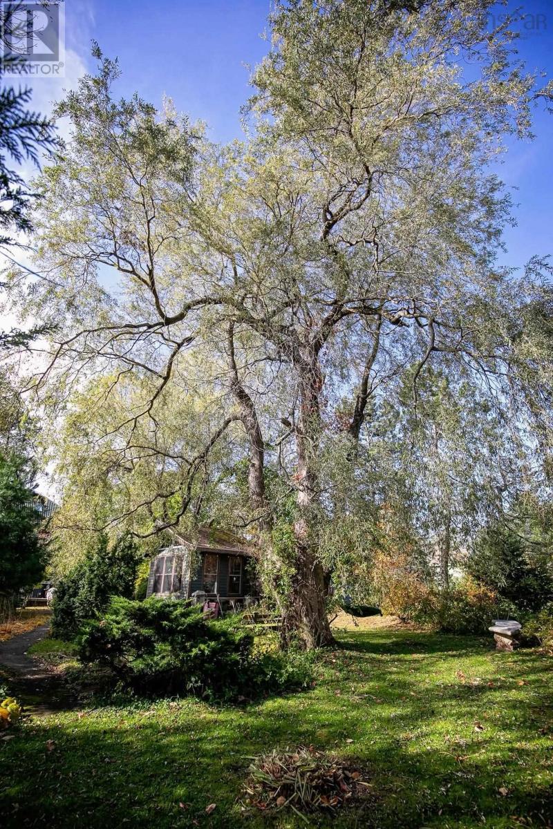 48 Rupert Street Property Photo 8