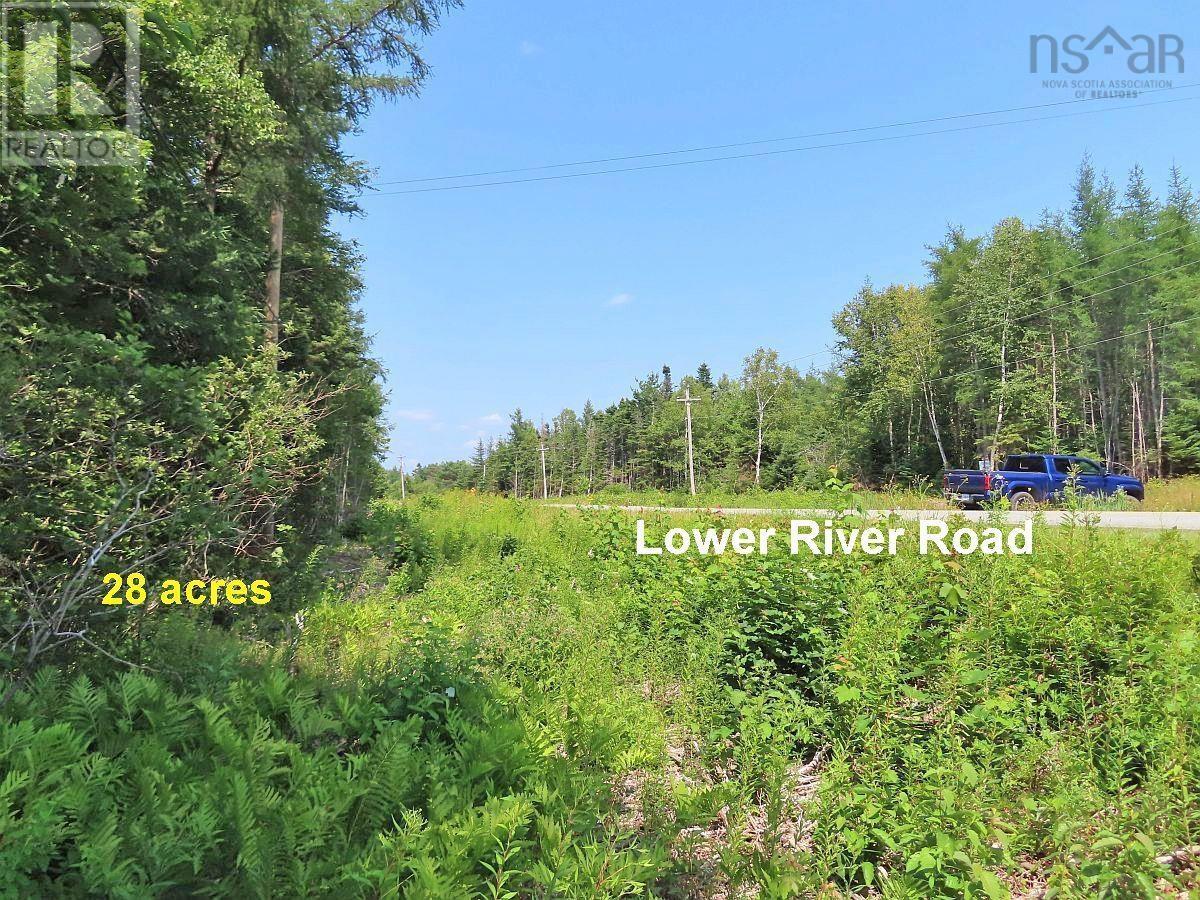 2 Lots Lower River Road Property Photo 6