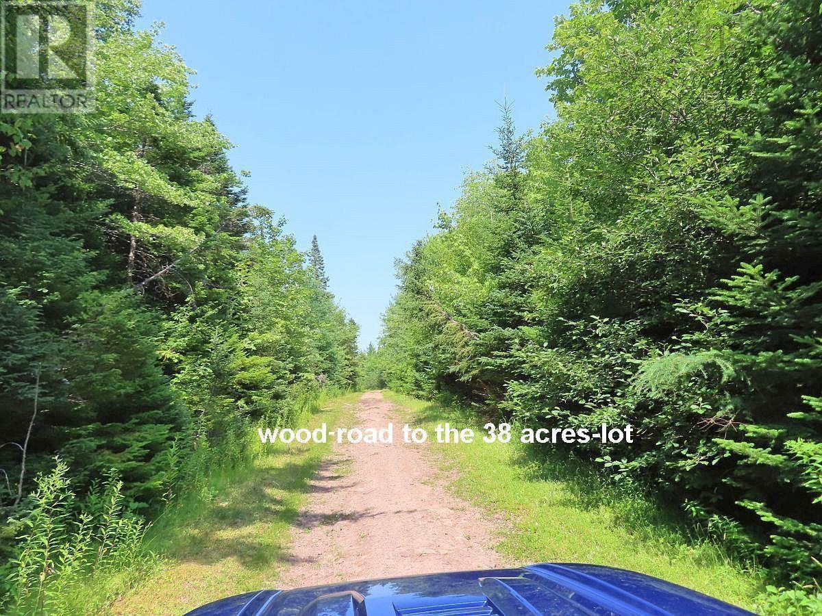 2 Lots Lower River Road Property Photo 8