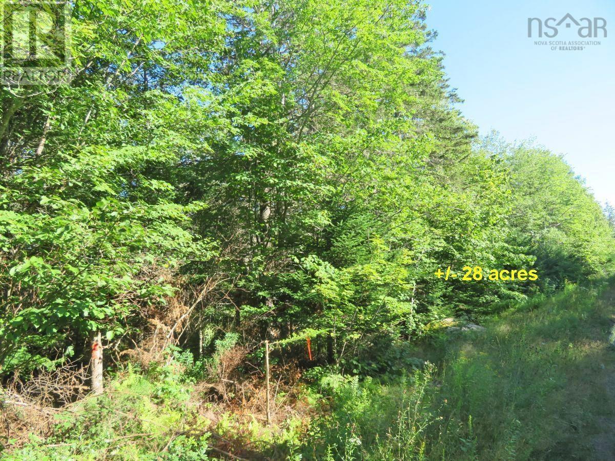 2 Lots Lower River Road Property Photo 9