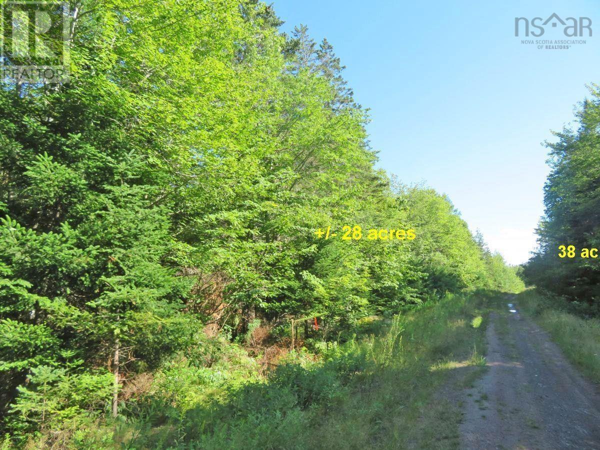 2 Lots Lower River Road Property Photo 10
